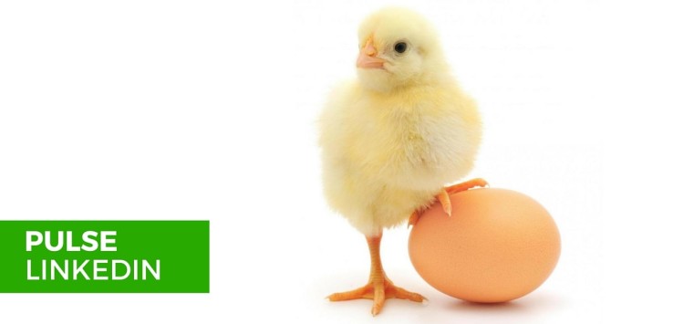 Linkedin Pulse - meglio l’uovo oggi o la gallina domani