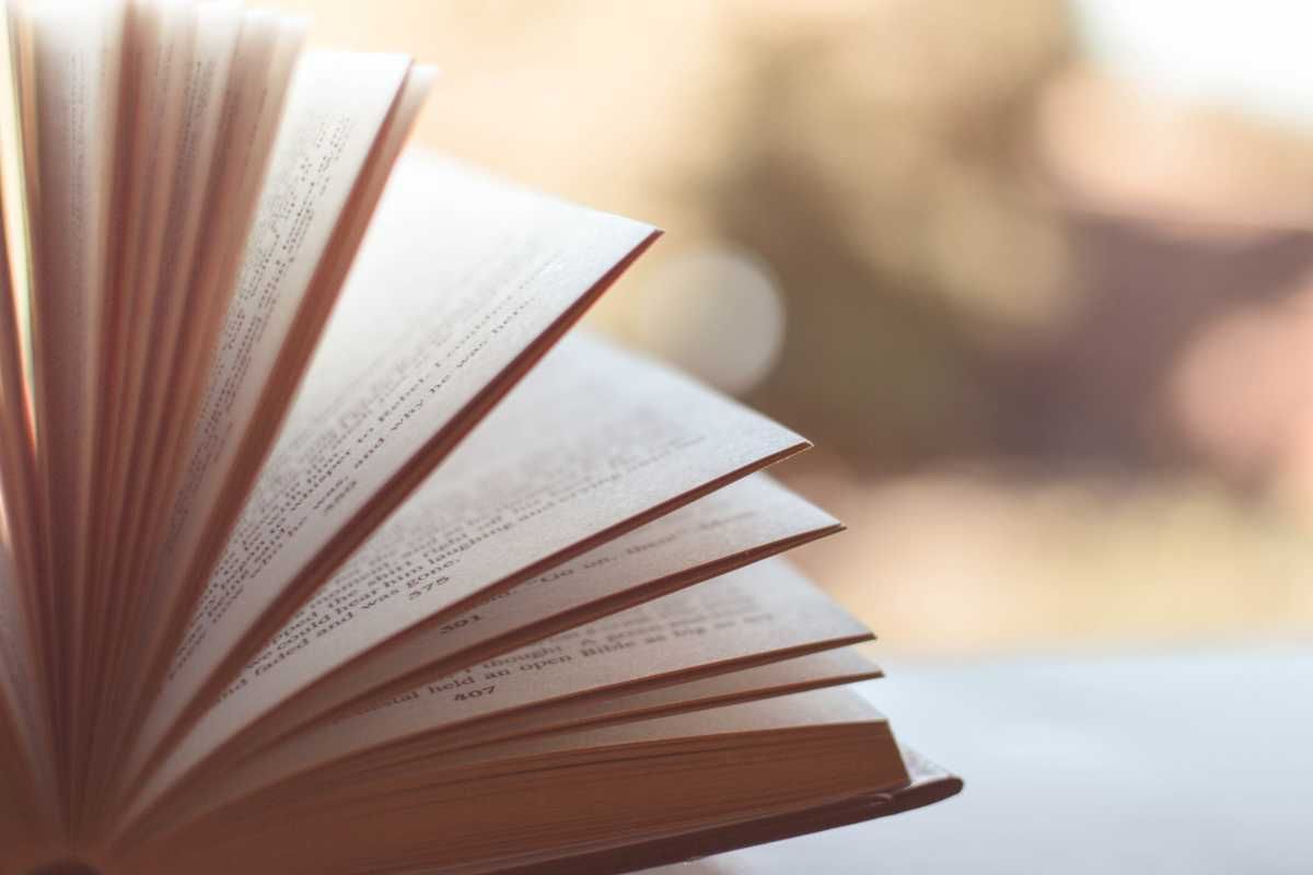 libro 1.000 euro