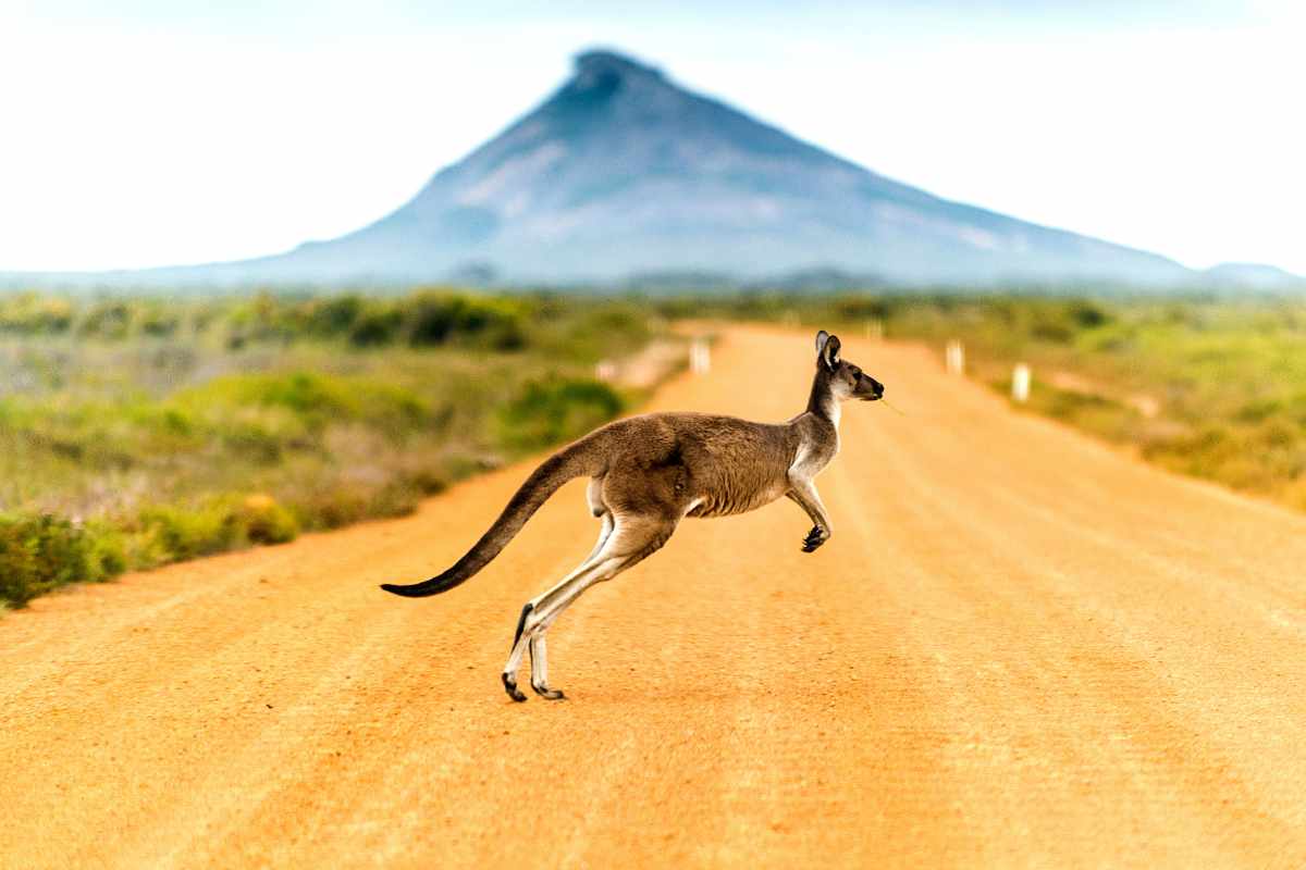 Trasferirsi in Australia per lavorare, ma quanto si guadagna?