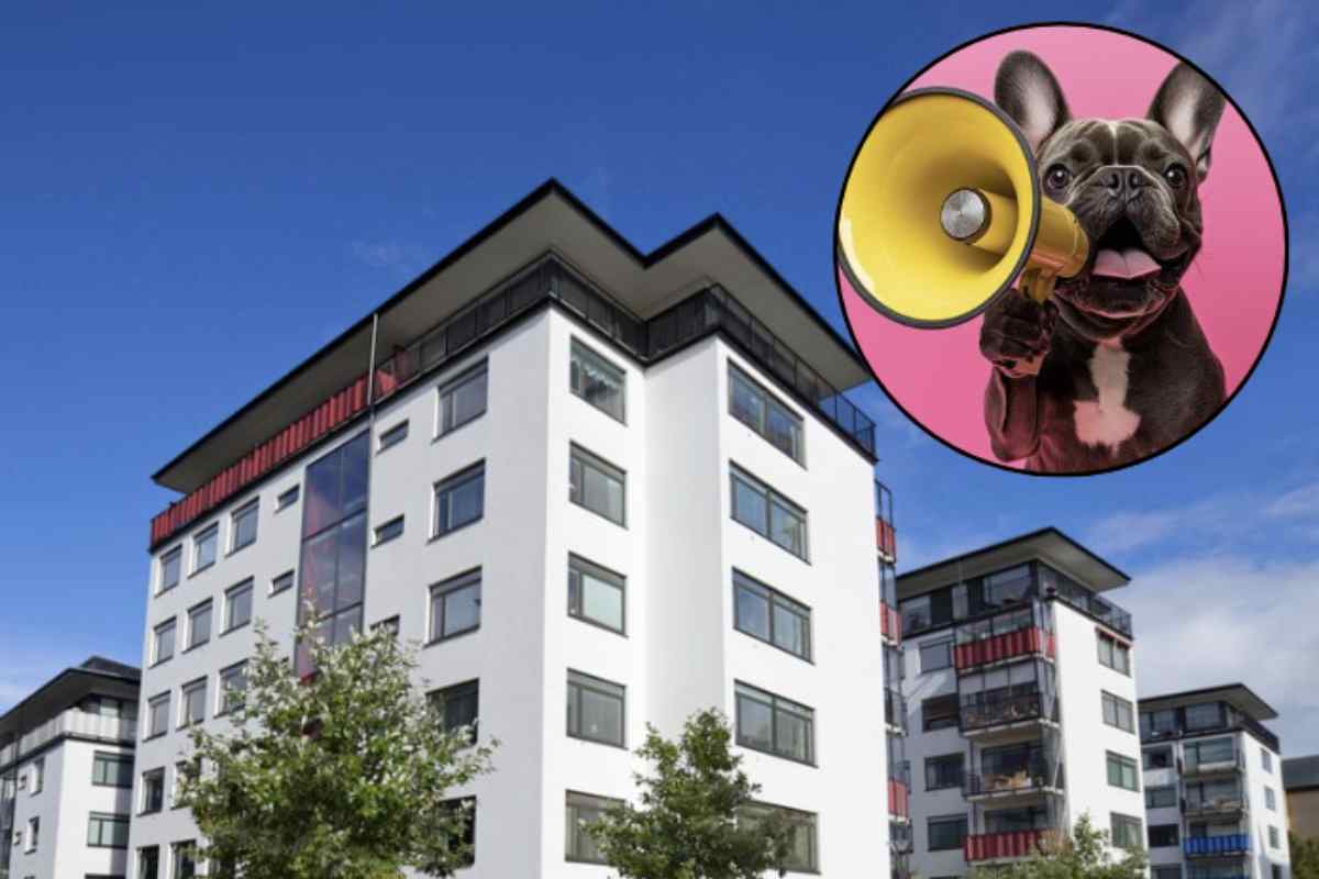 Il giudice ha disposto, in via d’urgenza, l’allontanamento di cani di grossa taglia responsabili di disturbo, segnando un importante precedente